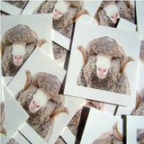photo of photograph custom temporary tattoos, size 2 x 2